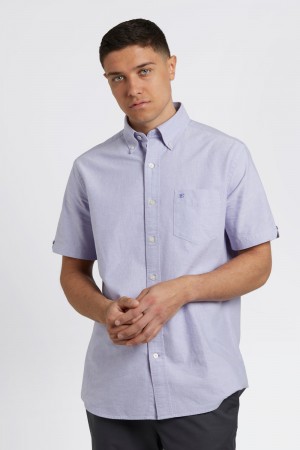 Camisas Ben Sherman Brighton Oxford Moradas | 056-LKUIOZ